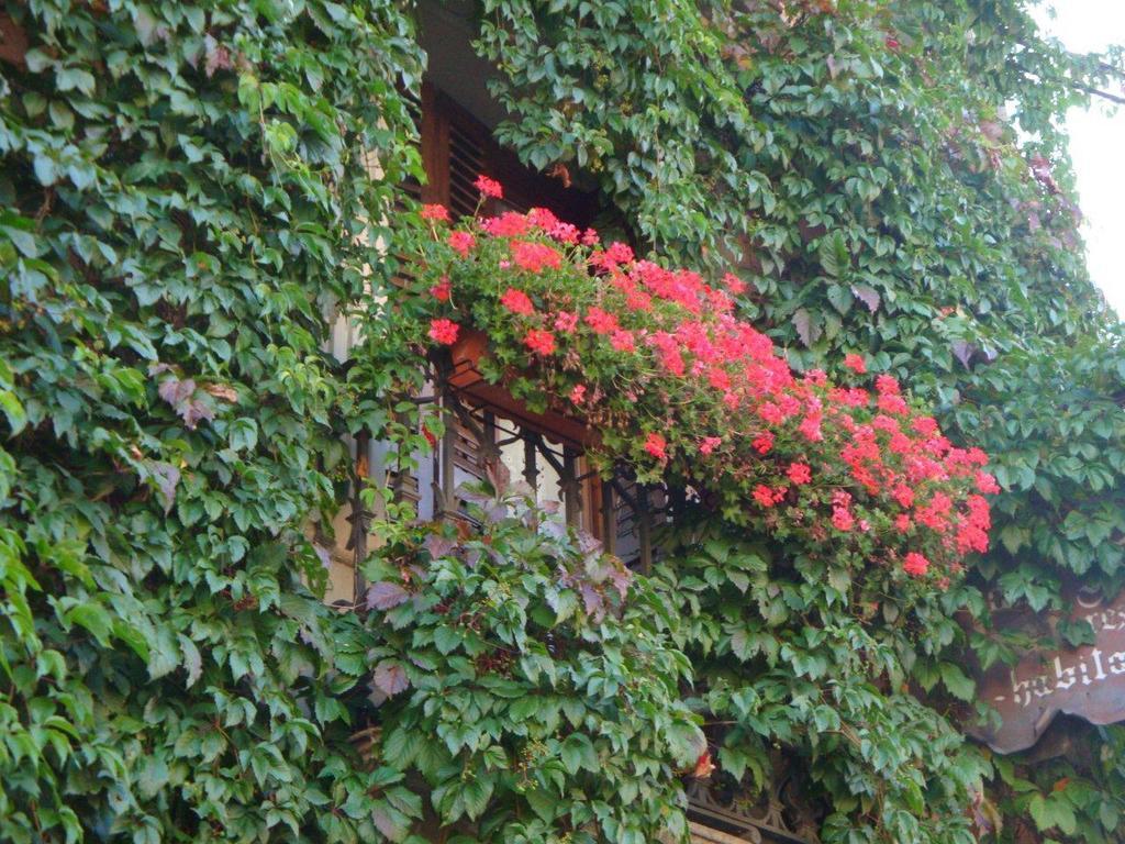 Hotel Casa Frauca Sarvisé Exterior foto
